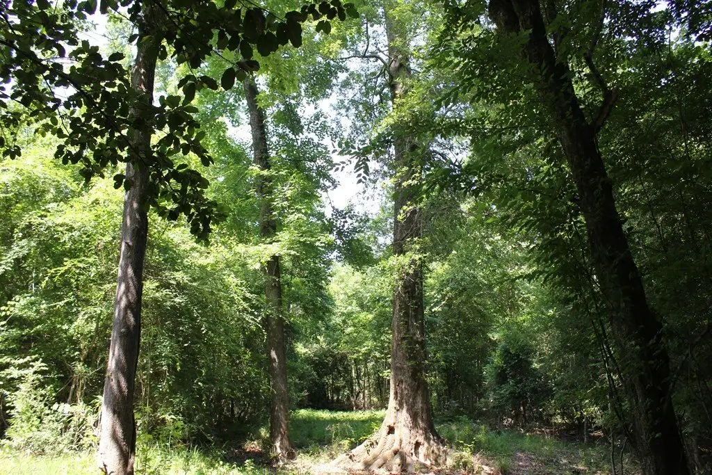Picture 34