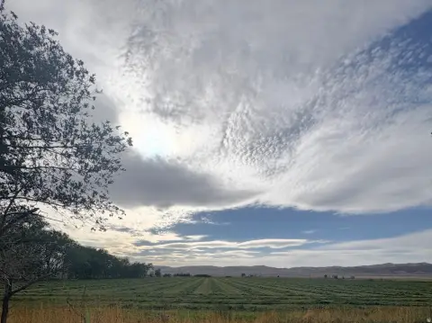 Irrigated Agricultural Land