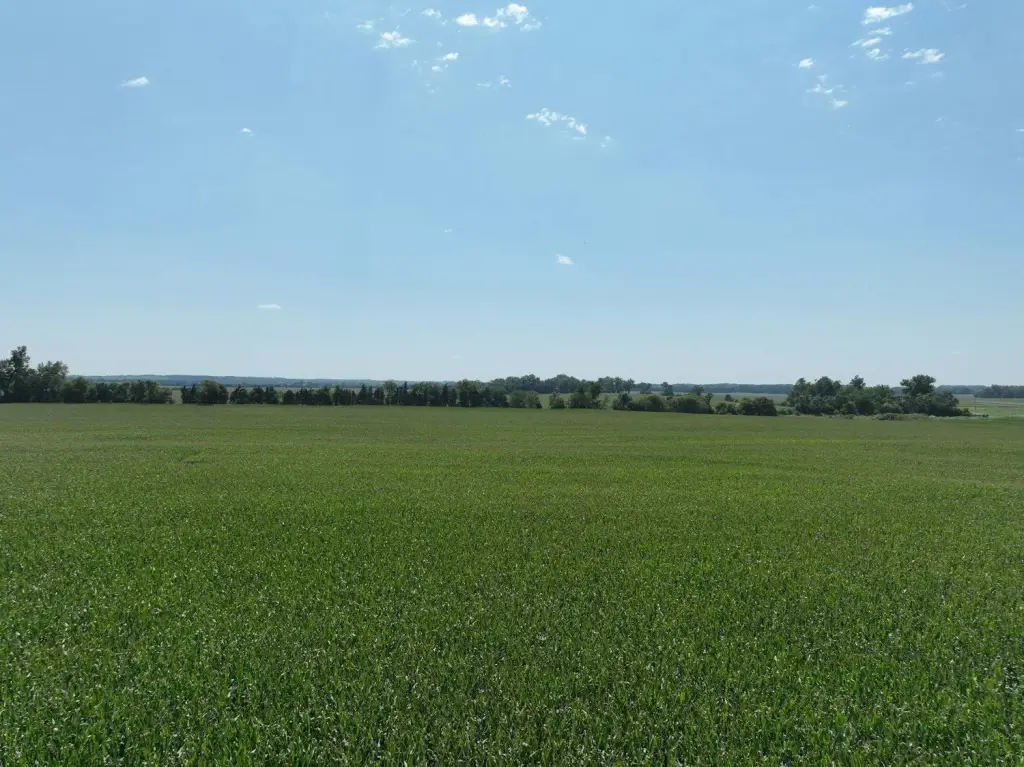 Picture 9