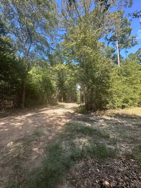 Picture 3