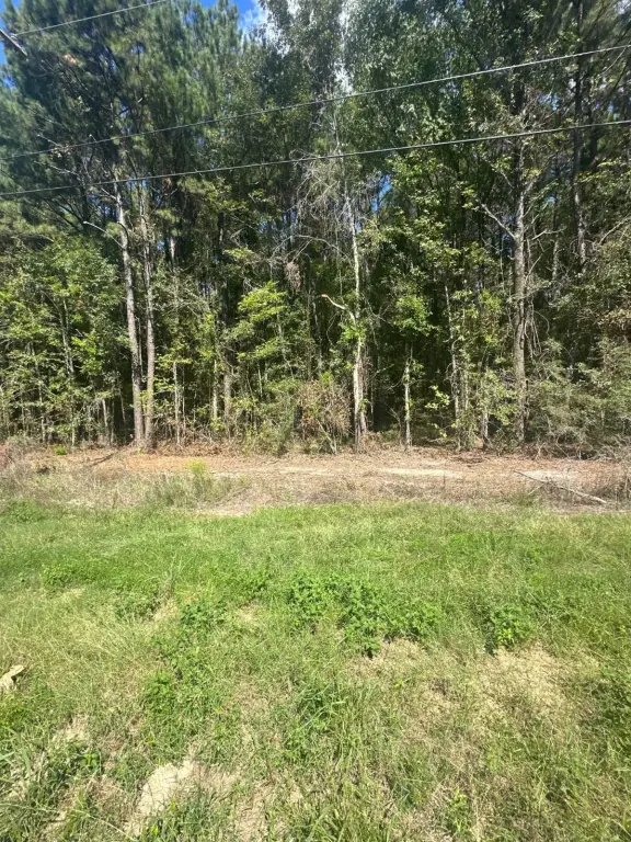 Picture 4
