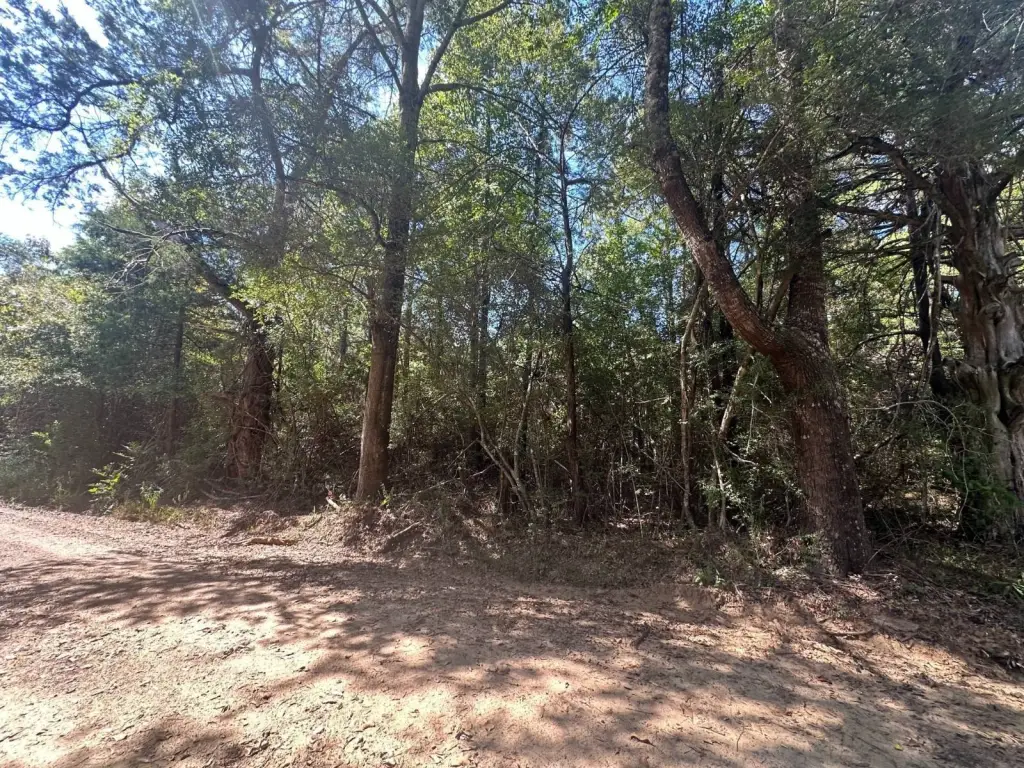 Picture 2