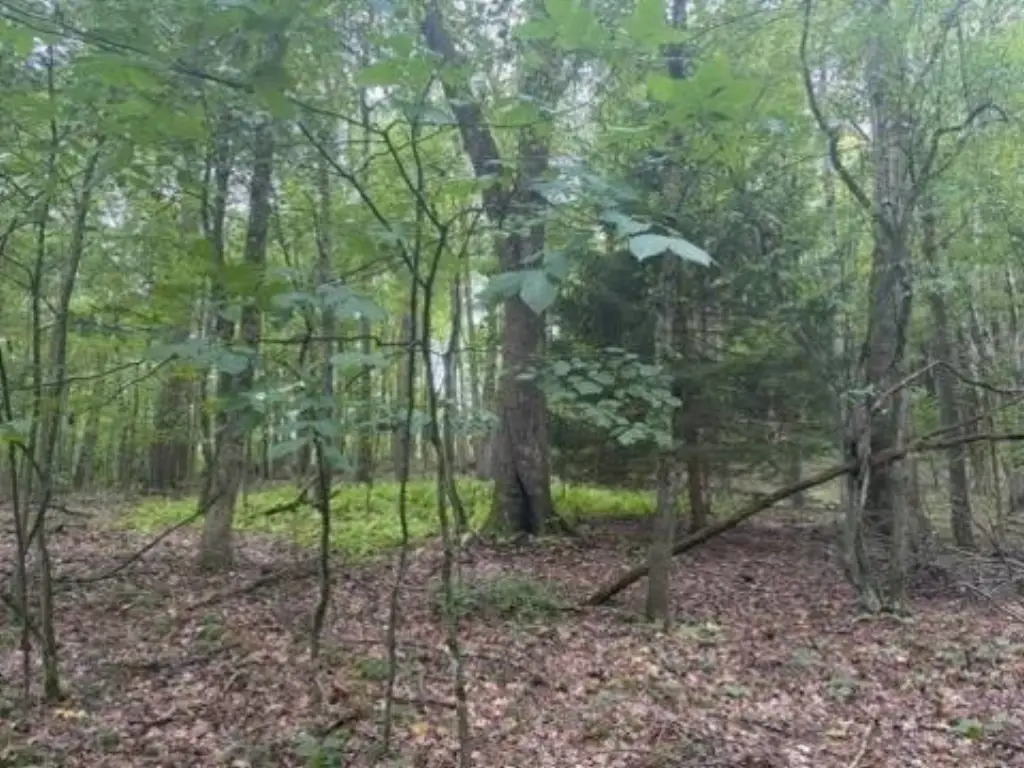 Picture 18
