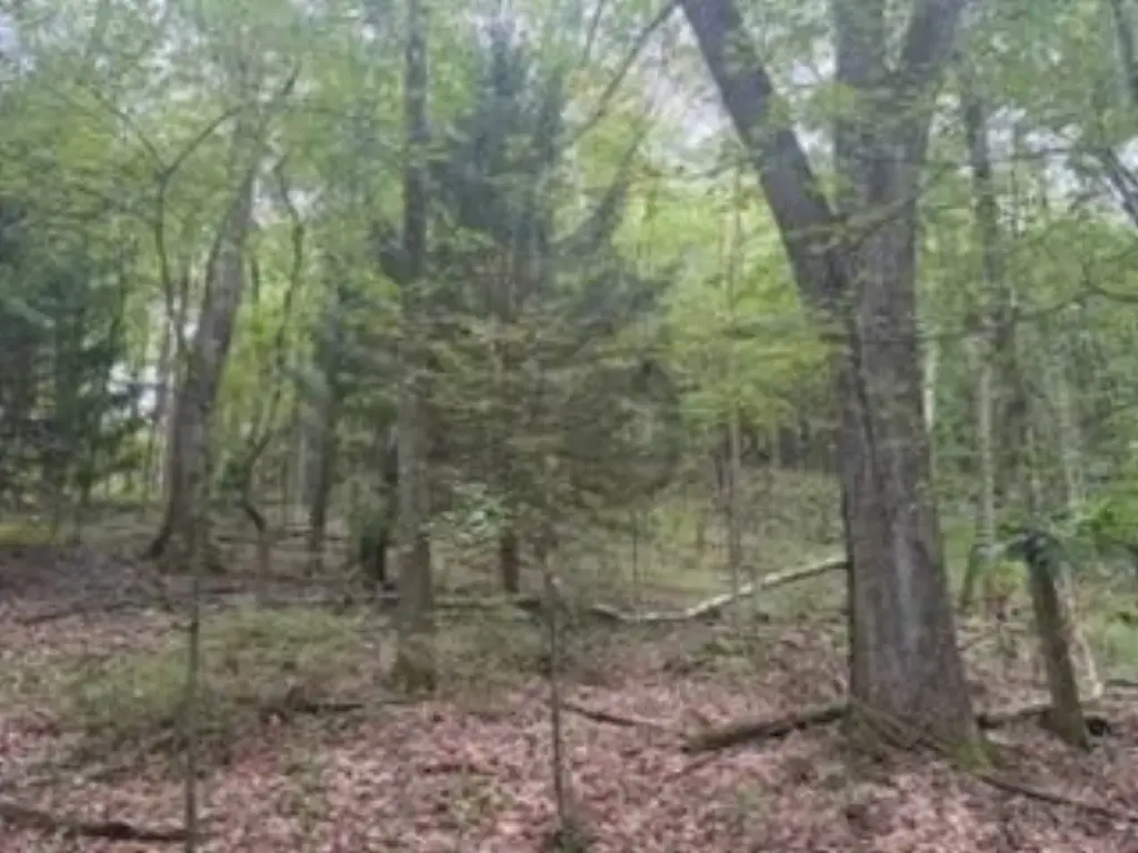 Picture 17
