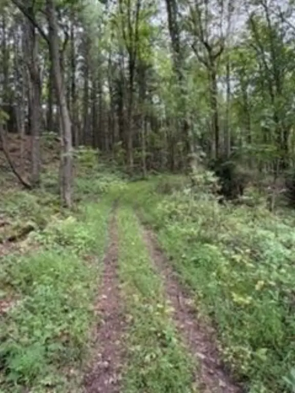 Picture 29