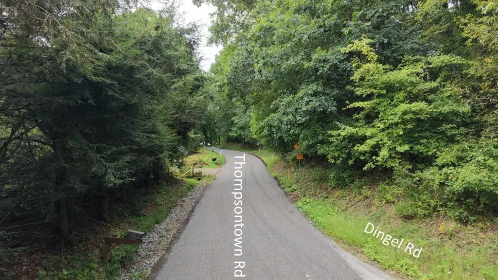 Picture 14