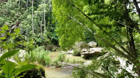 35-Acre Nature Retreat