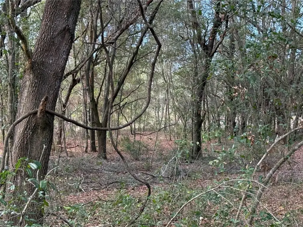 Picture 11