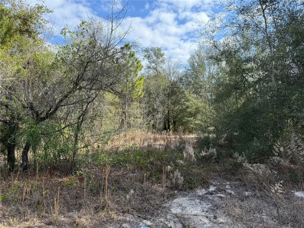 Picture 6