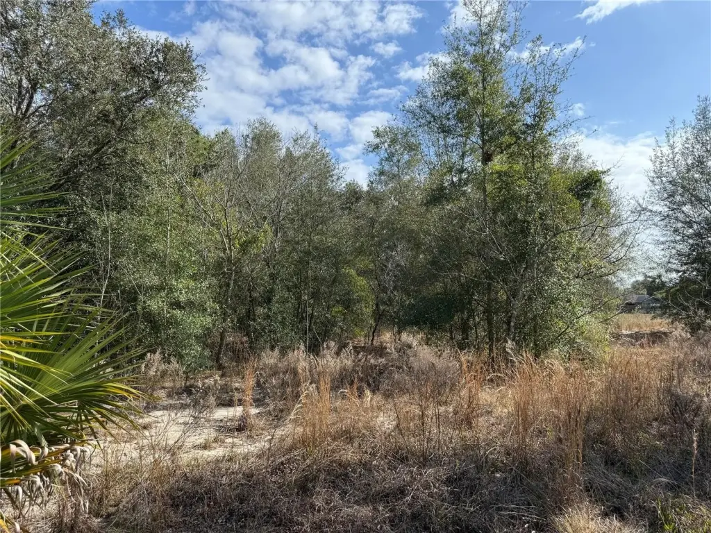 Picture 14