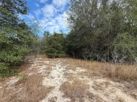 Belleview Vacant Land For Sale