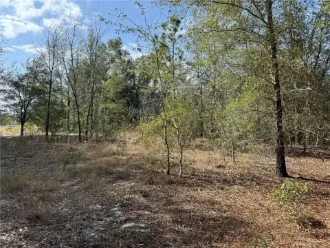 Belleview Vacant Land For Sale