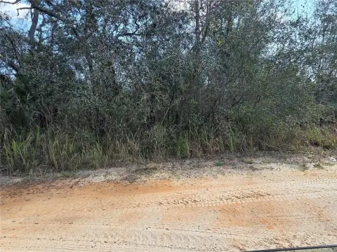 Half-Acre Lot in Deland, FL