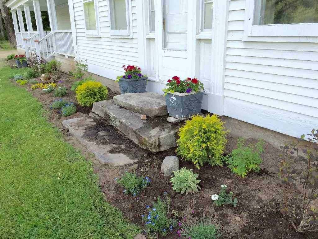 Picture 4