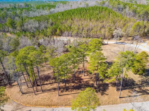 Arley, AL Land For Sale