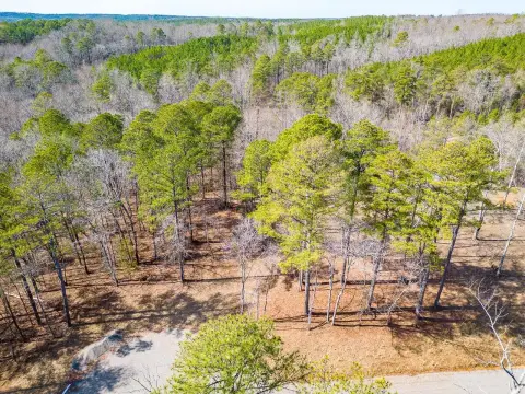 Arley, AL Land For Sale