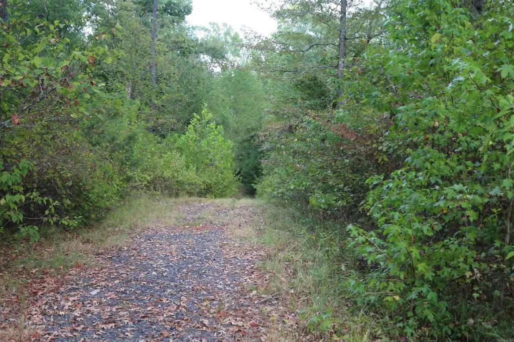 Picture 27