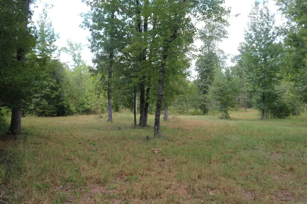 Picture 35