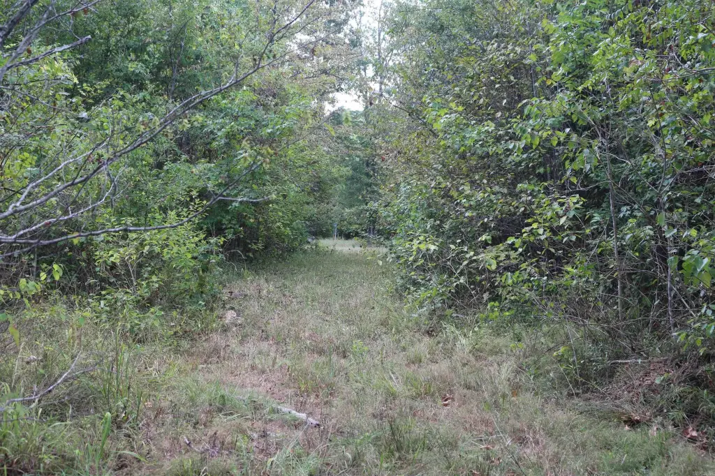 Picture 26