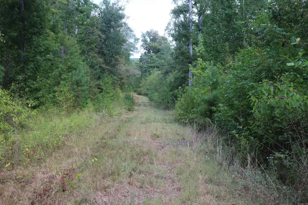 Picture 24