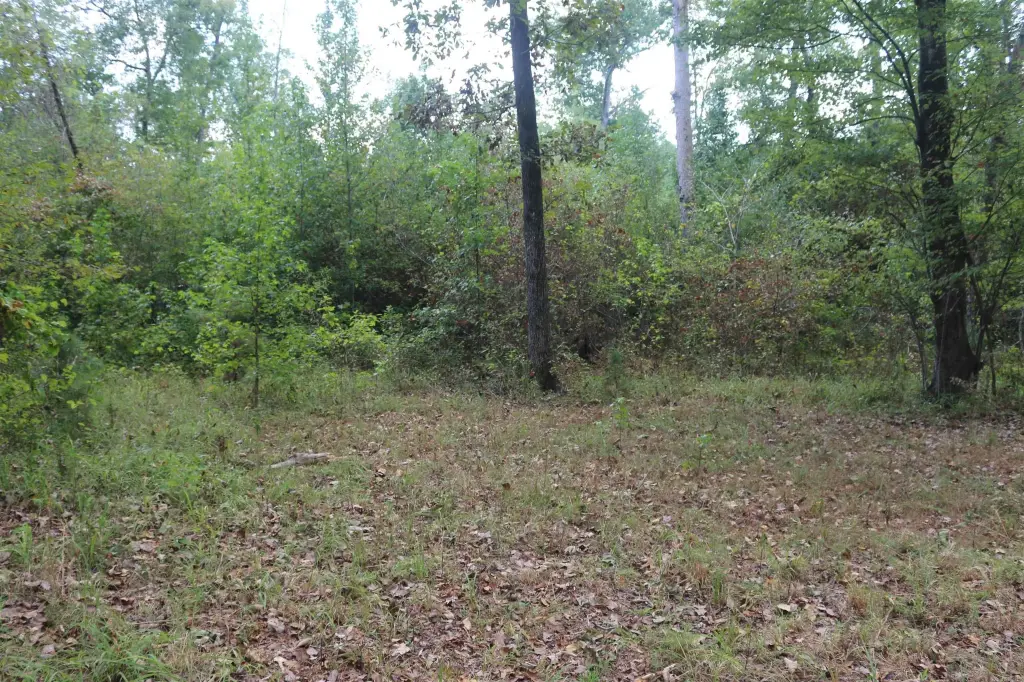 Picture 30
