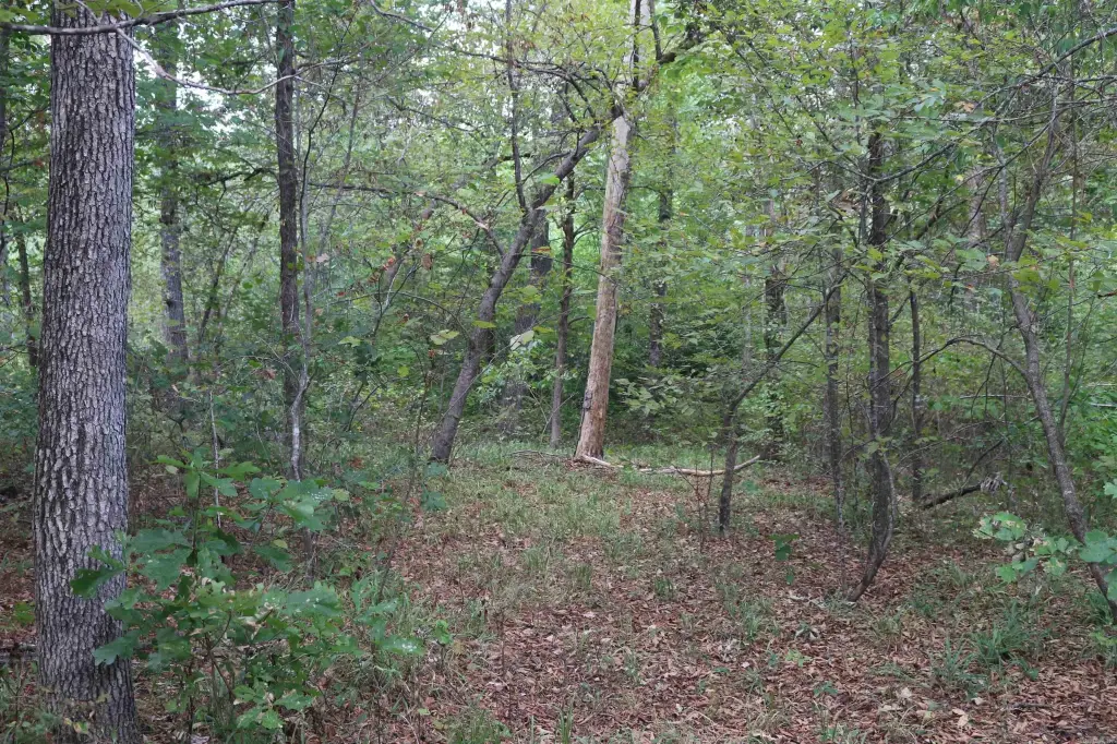 Picture 17