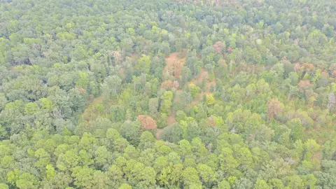 Wooded Land With RV Hookup