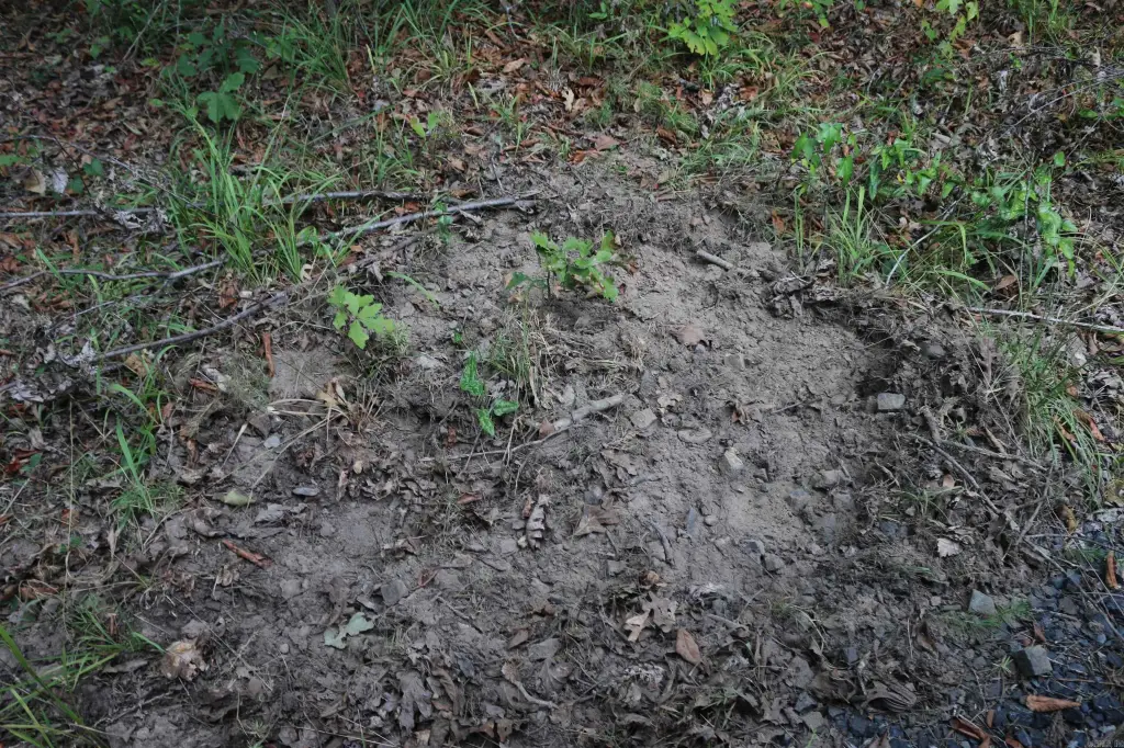 Picture 22
