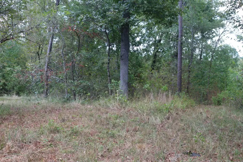 Picture 41