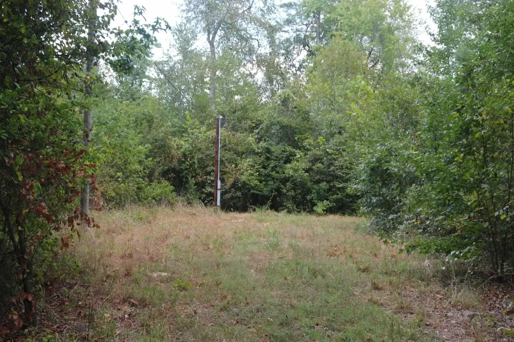 Picture 33