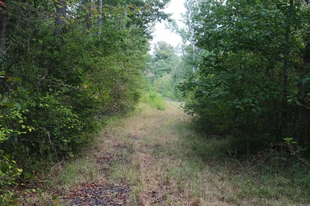 Picture 23