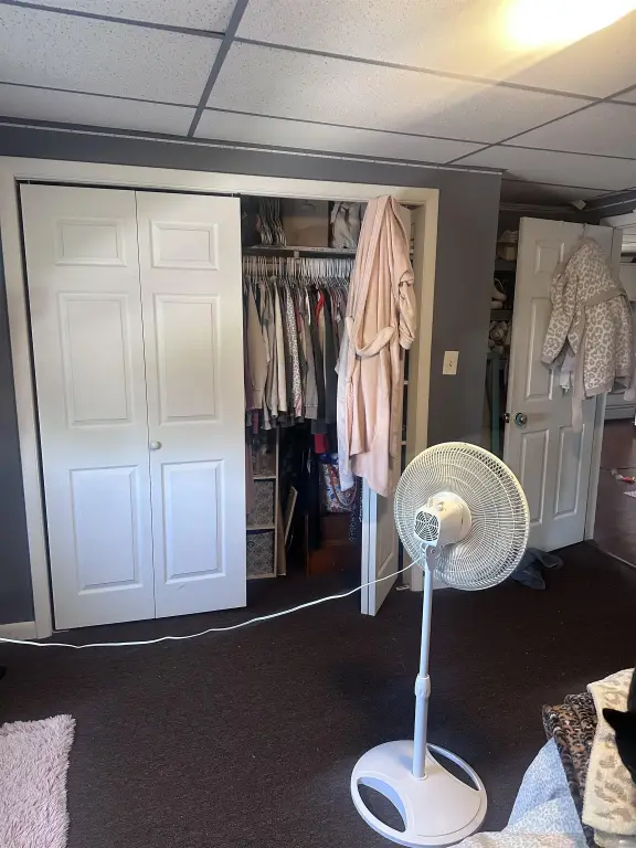 Picture 24
