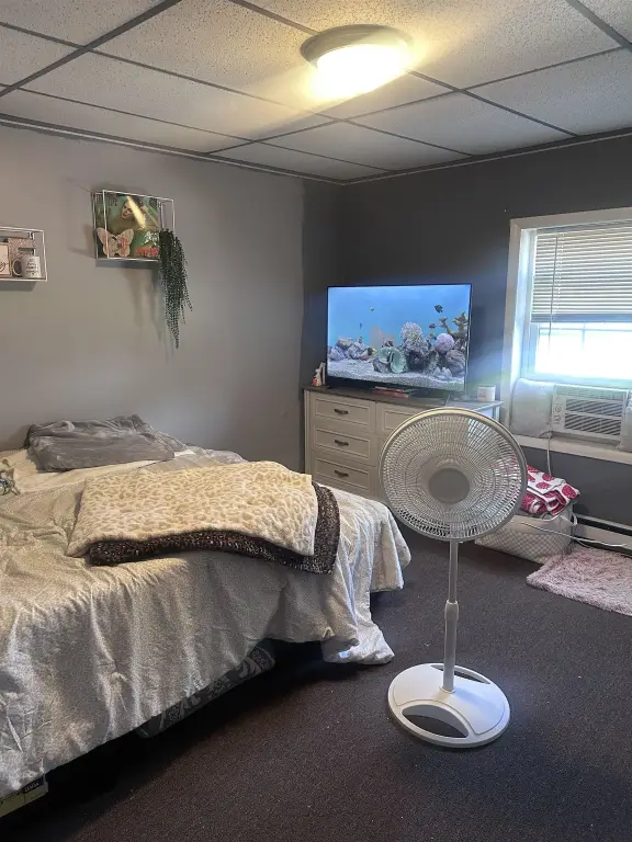 Picture 23