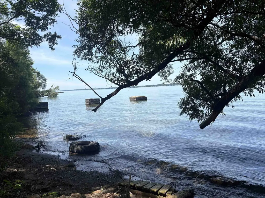 Picture 3