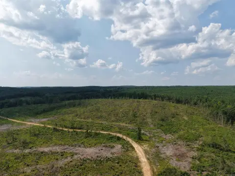 Hunting Land with Hardwood Creek Bottom