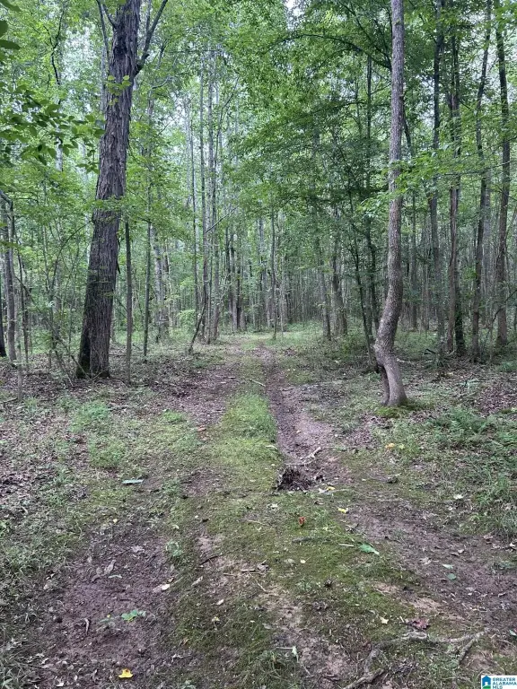 Picture 8