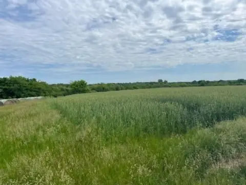 20 Acre Corner Tract Land