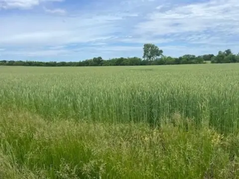 20 Acres of Unimproved Land