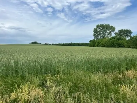 Land Near Hillsdale Lake
