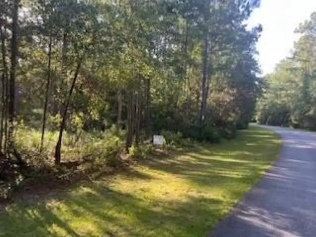 Picture 11