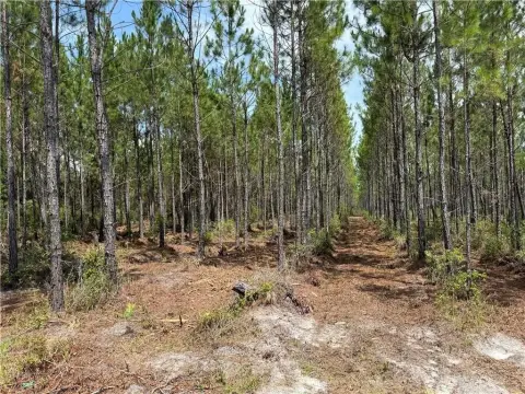 21.54 Acres in Manor, GA