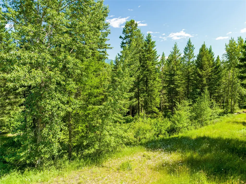 Picture 30