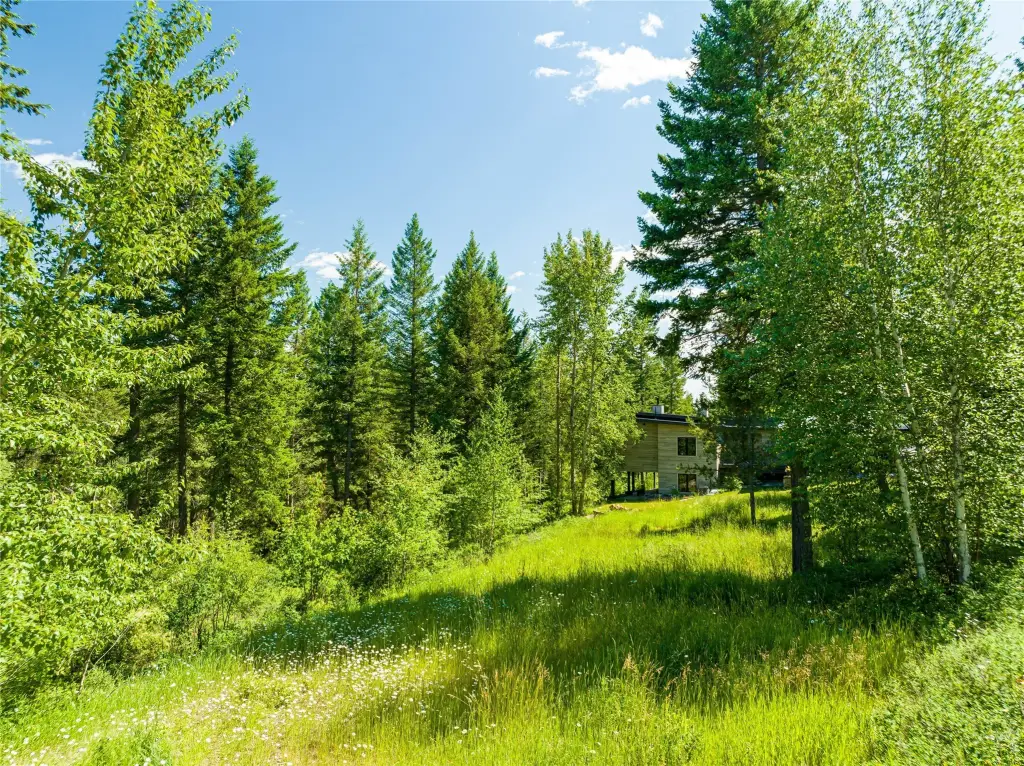 Picture 31