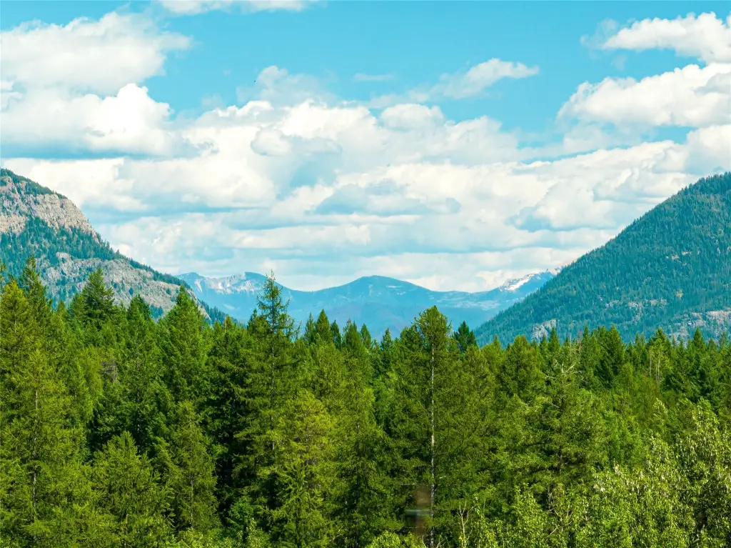 Picture 24