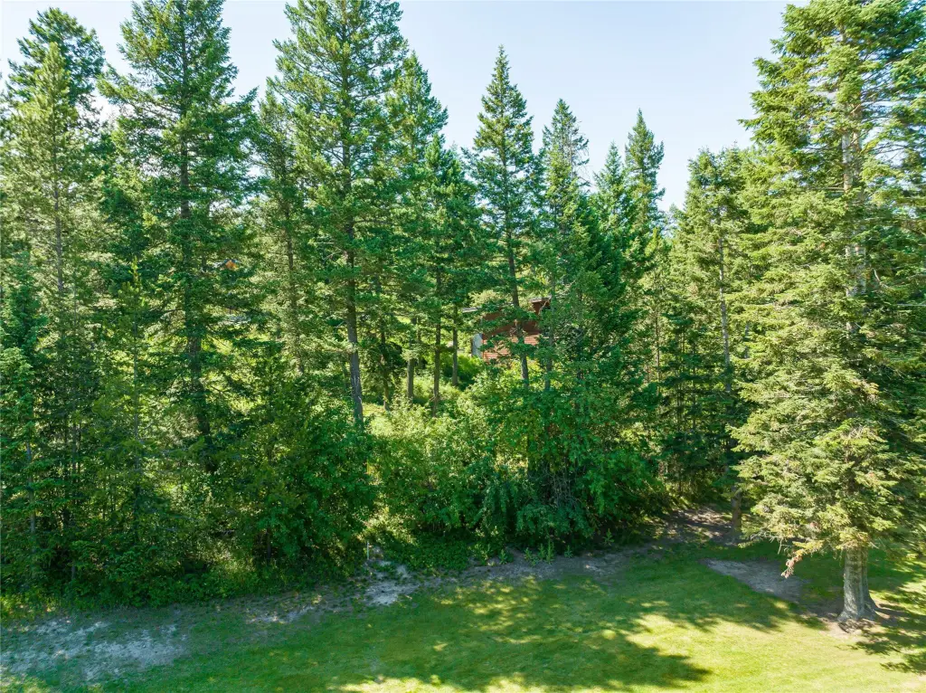 Picture 18