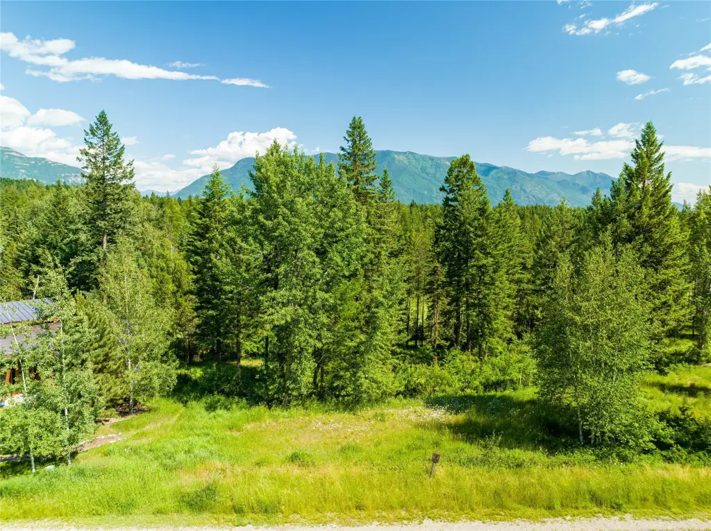 Picture 22