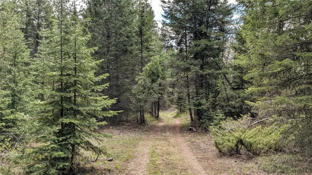 Picture 20