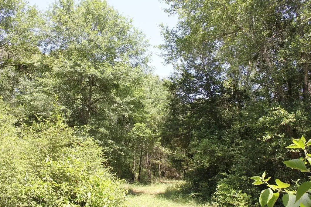 Picture 13