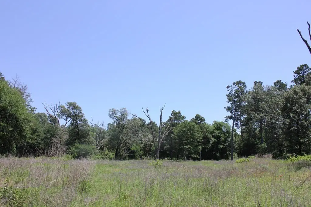 Picture 25