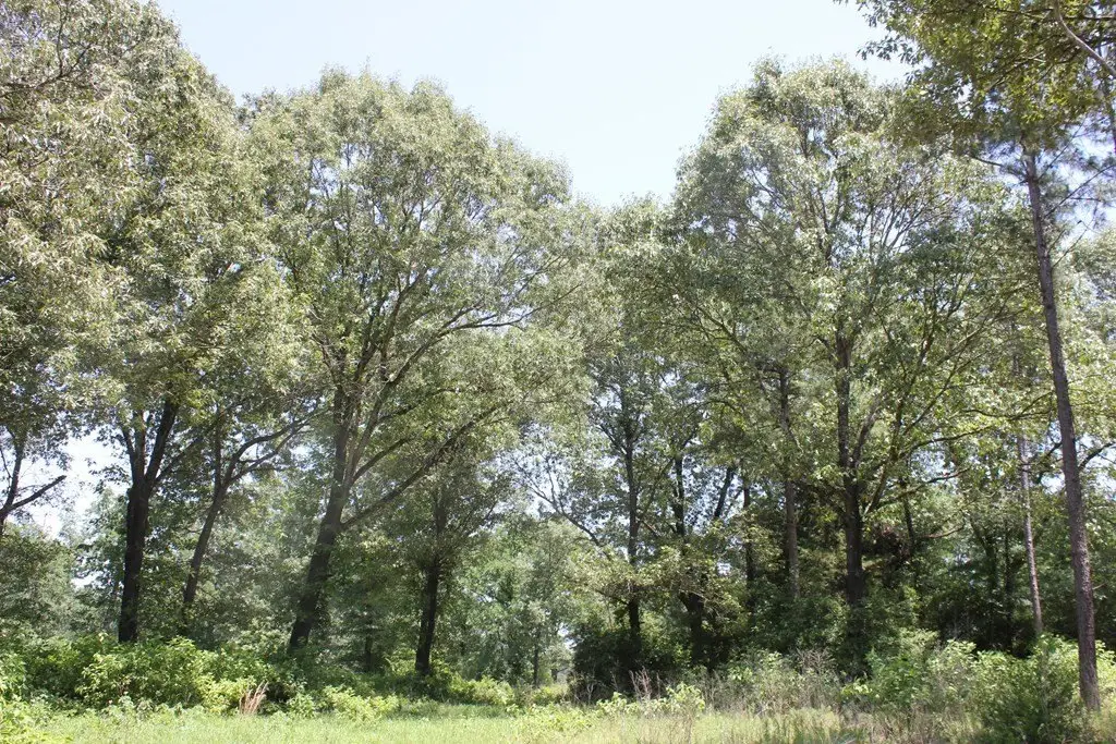 Picture 16
